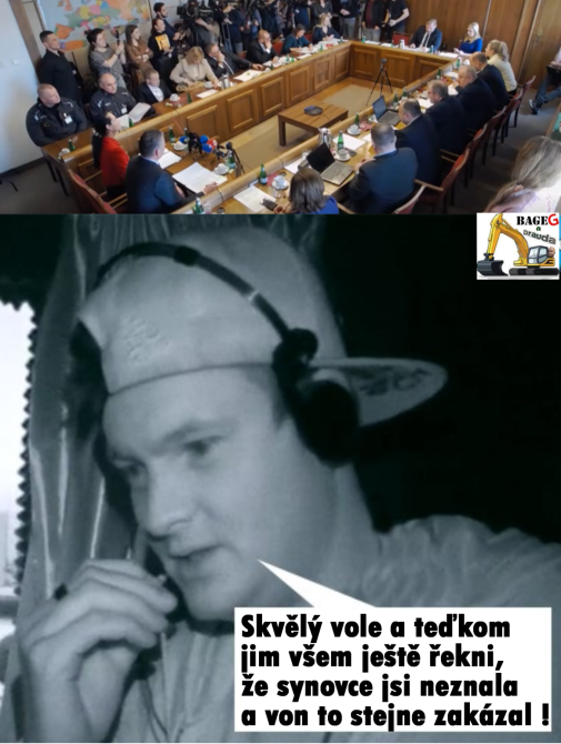 Príspevok 178313